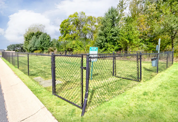 Dog park 
